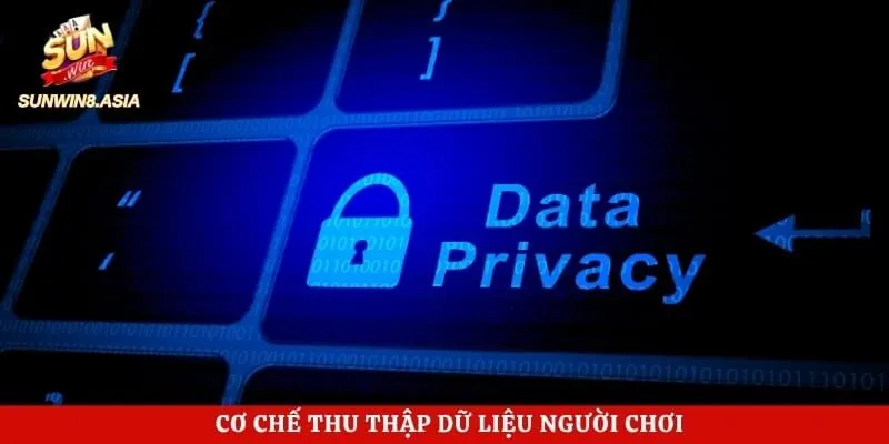 Chính Sách Bảo Mật Sunwin - Quy Định An Toàn Dữ Liệu 2026 3 Cơ chế thu thập dữ liệu người chơi