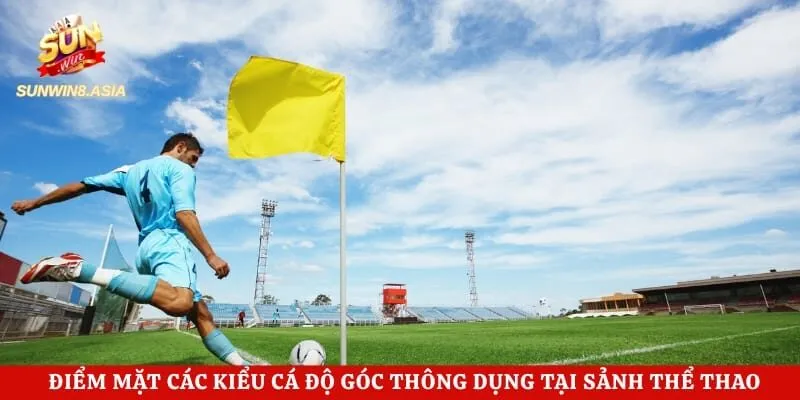 Kèo Phạt Góc Sunwin - Lựa Chọn Hoàn Hảo Của Mọi Bet Thủ 3 Điểm mặt các kiểu cá độ góc thông dụng tại sảnh thể thao