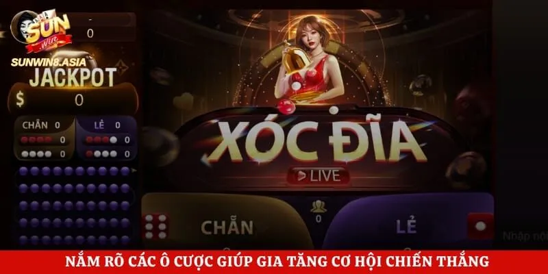 Xóc Đĩa Sunwin - Chinh Phục Bản Cược Đỉnh Cao Mỗi Ngày 3 Nắm rõ các ô cược giúp gia tăng cơ hội chiến thắng
