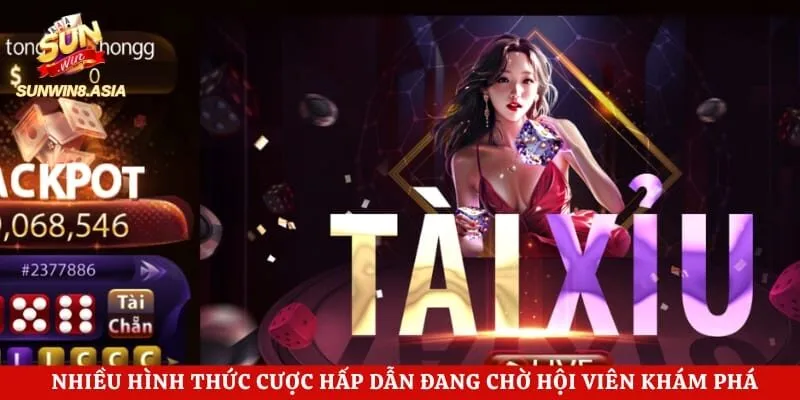 Tài Xỉu Online Sunwin - Bí Quyết Dự Đoán Chính Xác 3 Nhiều hình thức cược hấp dẫn đang chờ hội viên khám phá