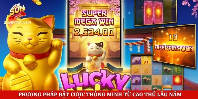 Nổ Hũ Mèo Chiêu Tài Sunwin - Bí Quyết Săn Hũ Tiền Tỷ Dễ Dàng 5 Phương pháp đặt cược thông minh từ cao thủ lâu năm